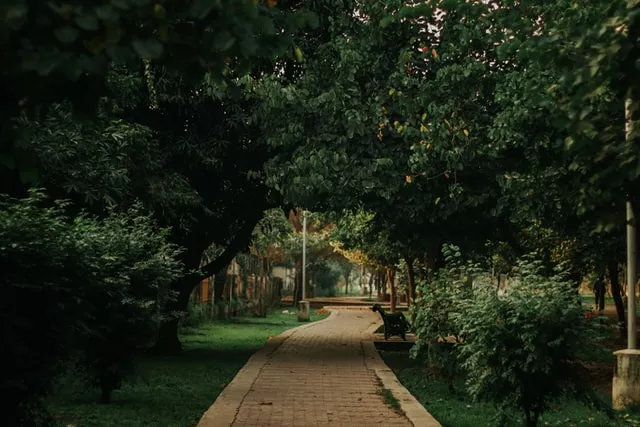 Biodiverciudades, nueva tendencia en Latinoamérica