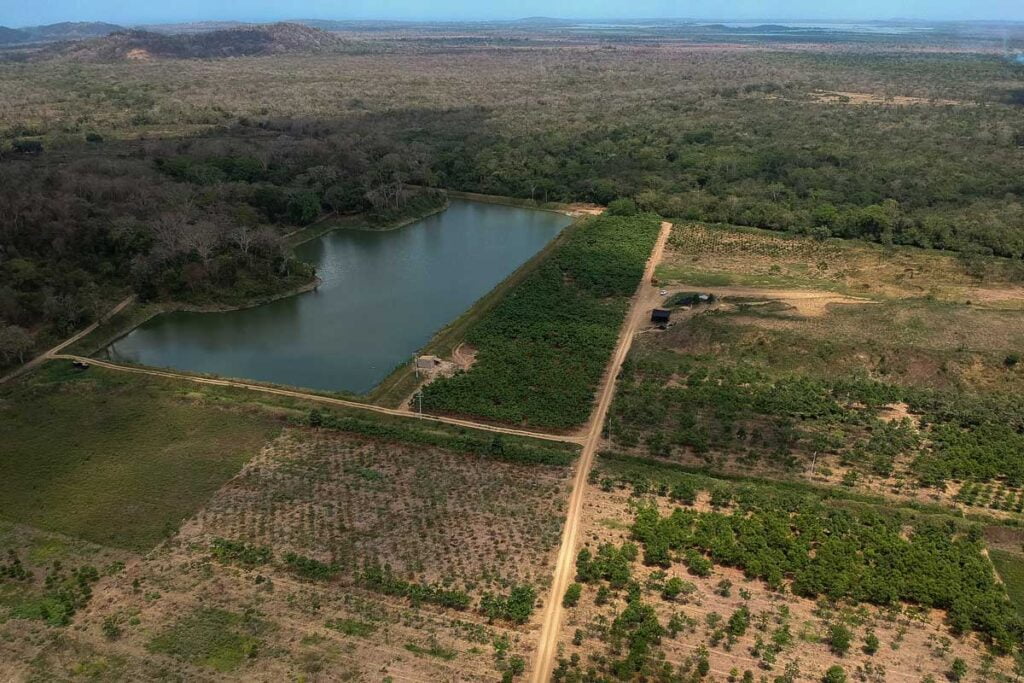 BIODIVERCIUDADES: VOLVER A LA NATURALEZA